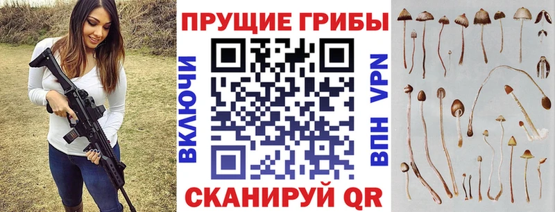 МЕГА ТОР  Норильск  Галлюциногенные грибы GOLDEN TEACHER 